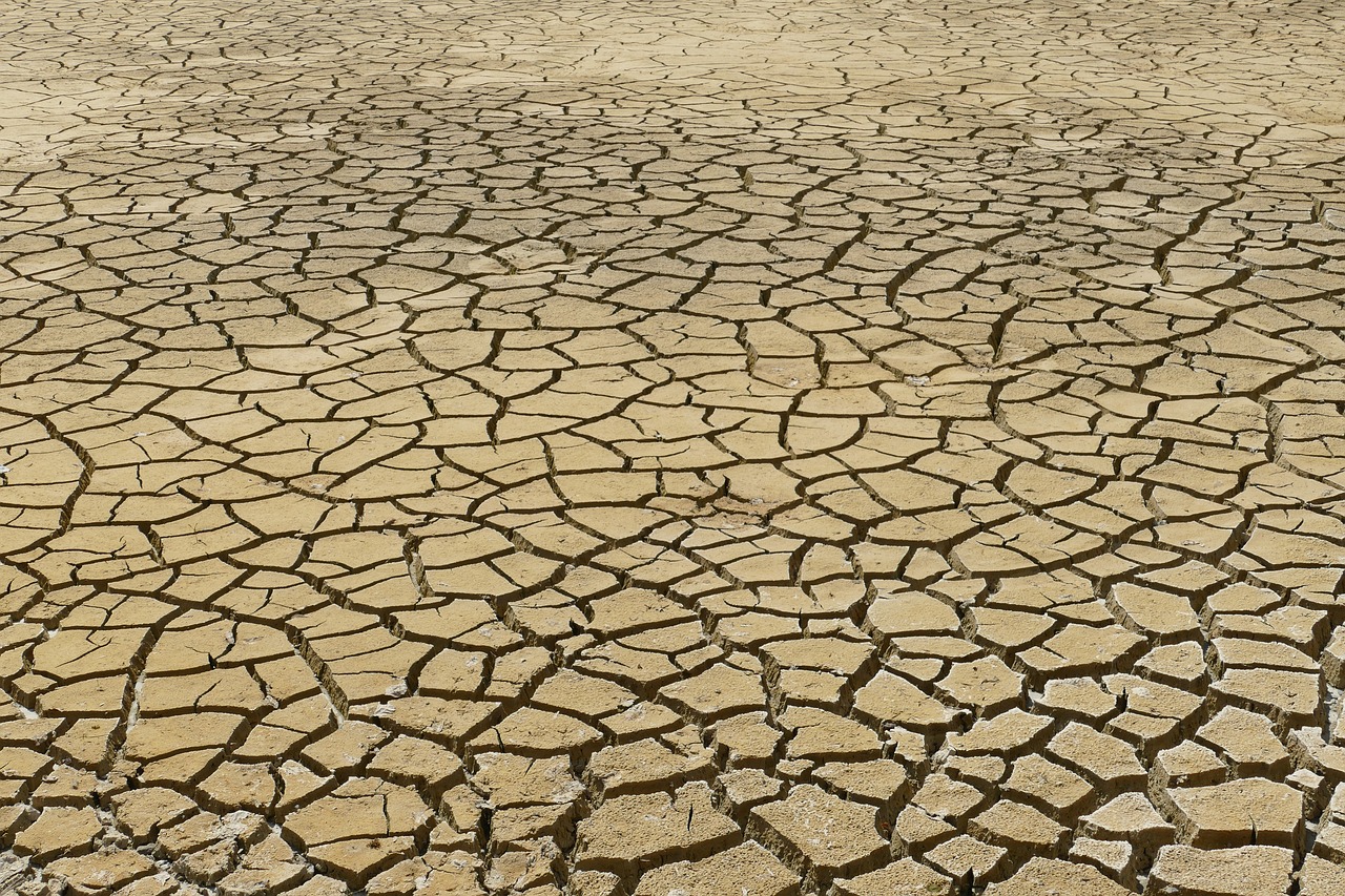 découvrez les impacts du changement climatique sur notre planète, les causes sous-jacentes, et les actions nécessaires pour préserver notre environnement pour les générations futures.