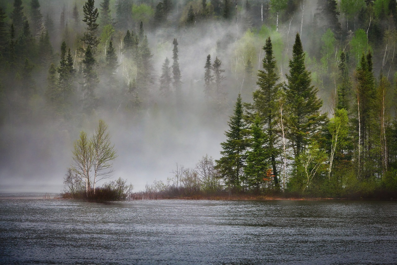 découvrez l'impact des facteurs climatiques sur notre environnement. apprenez comment des éléments tels que la température, les précipitations et le vent influencent la biodiversité, l'agriculture et le climat mondial.