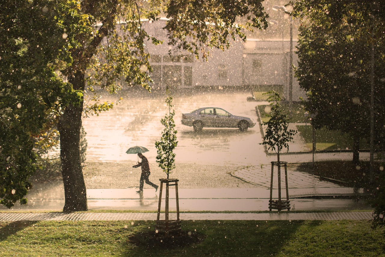 découvrez l'impact du climat sur notre planète, les causes du changement climatique et les mesures à prendre pour un avenir durable. informez-vous sur les conséquences environnementales et sociales, et apprenez comment contribuer à la protection de l'environnement.