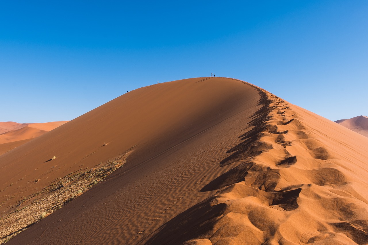 découvrez les dernières avancées en matière de prédiction climatique, des modèles innovants aux analyses détaillées, pour mieux comprendre et anticiper les changements environnementaux que notre planète subit.