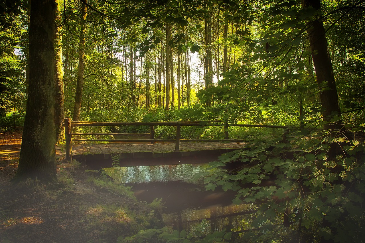 découvrez comment la transition écologique façonne notre avenir durable. explorez des solutions innovantes pour réduire notre empreinte carbone, préserver la biodiversité et promouvoir un mode de vie respectueux de l'environnement.