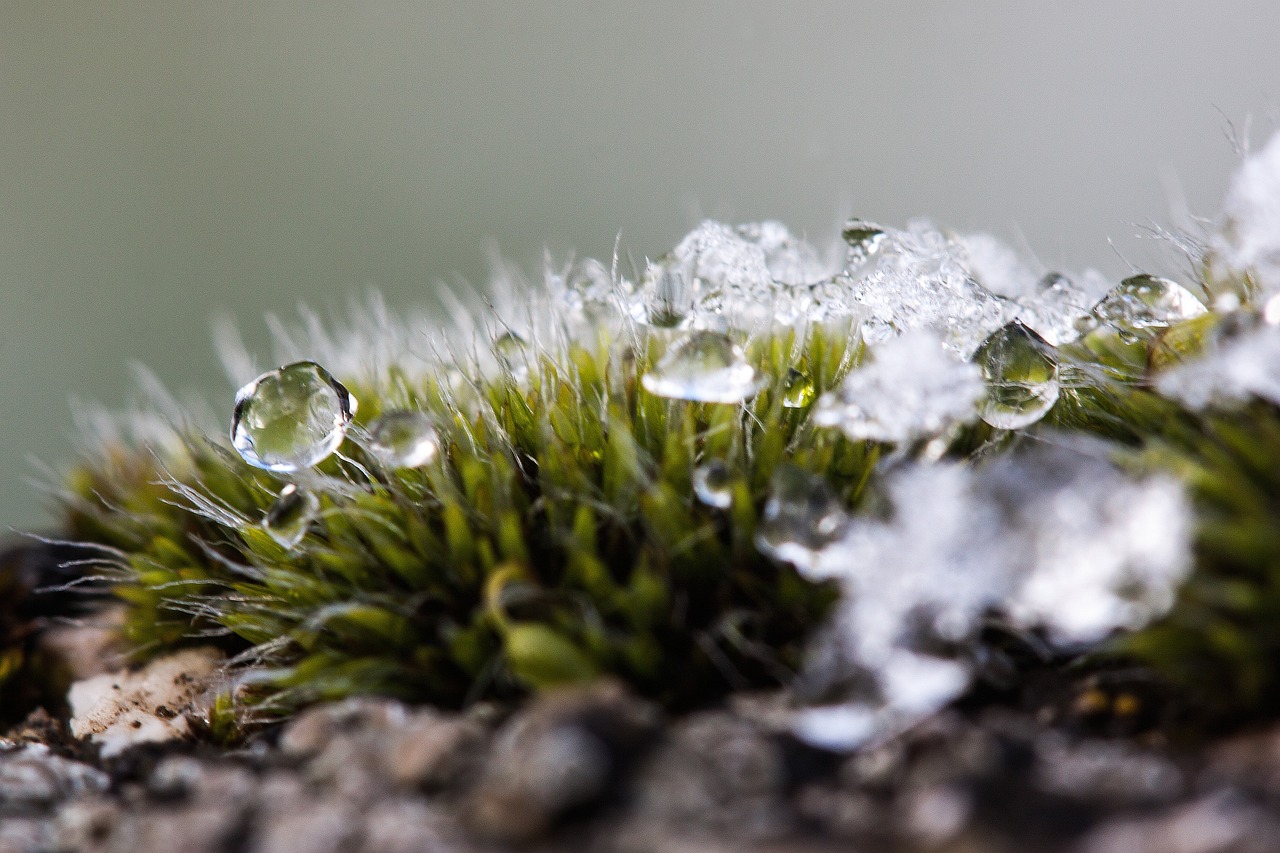 découvrez les enjeux et les solutions de la transition écologique, un processus essentiel pour préserver notre planète et garantir un avenir durable. explorez les initiatives, les innovations et les actions à mener pour un monde plus vert.