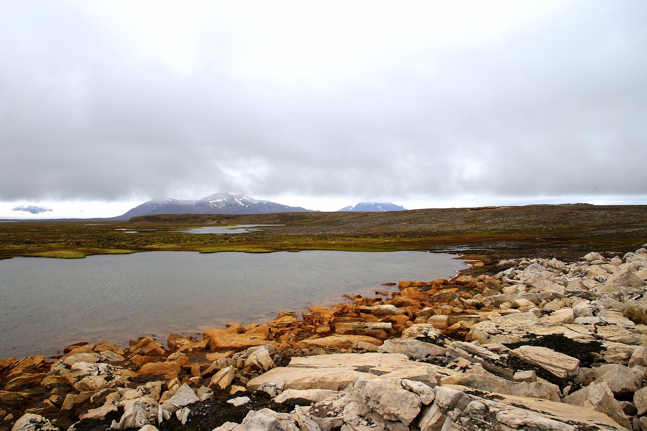 découvrez le permafrost, ce sol gelé en permanence qui joue un rôle crucial dans l'écosystème terrestre. explorez son importance dans le changement climatique, sa composition unique et son impact sur la biodiversité et les infrastructures. informez-vous sur les défis liés à sa dégradation et son avenir face au réchauffement climatique.