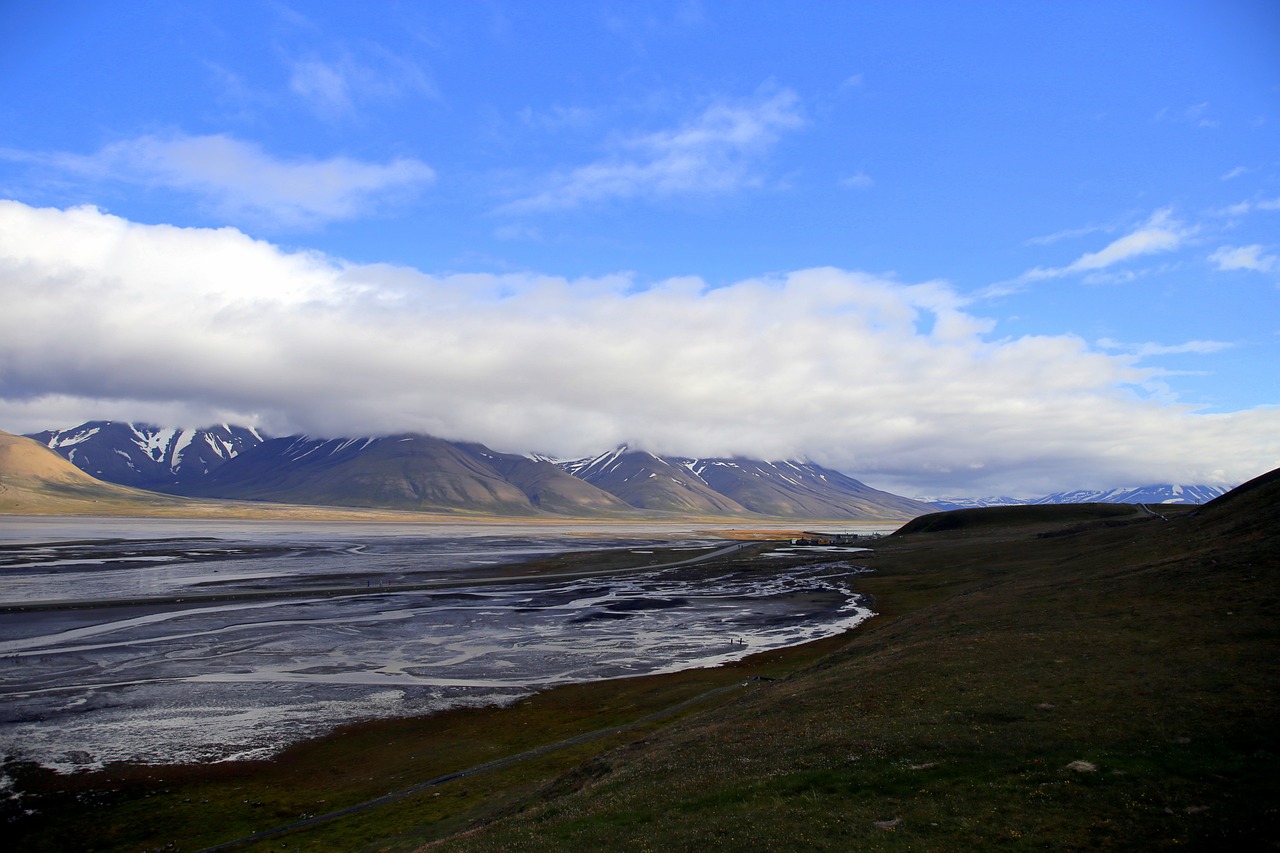 découvrez le permafrost, ce sol gelé en permanence qui joue un rôle crucial dans le climat terrestre et l'écosystème. apprenez comment le permafrost influence le changement climatique et quels défis il pose pour l'avenir.