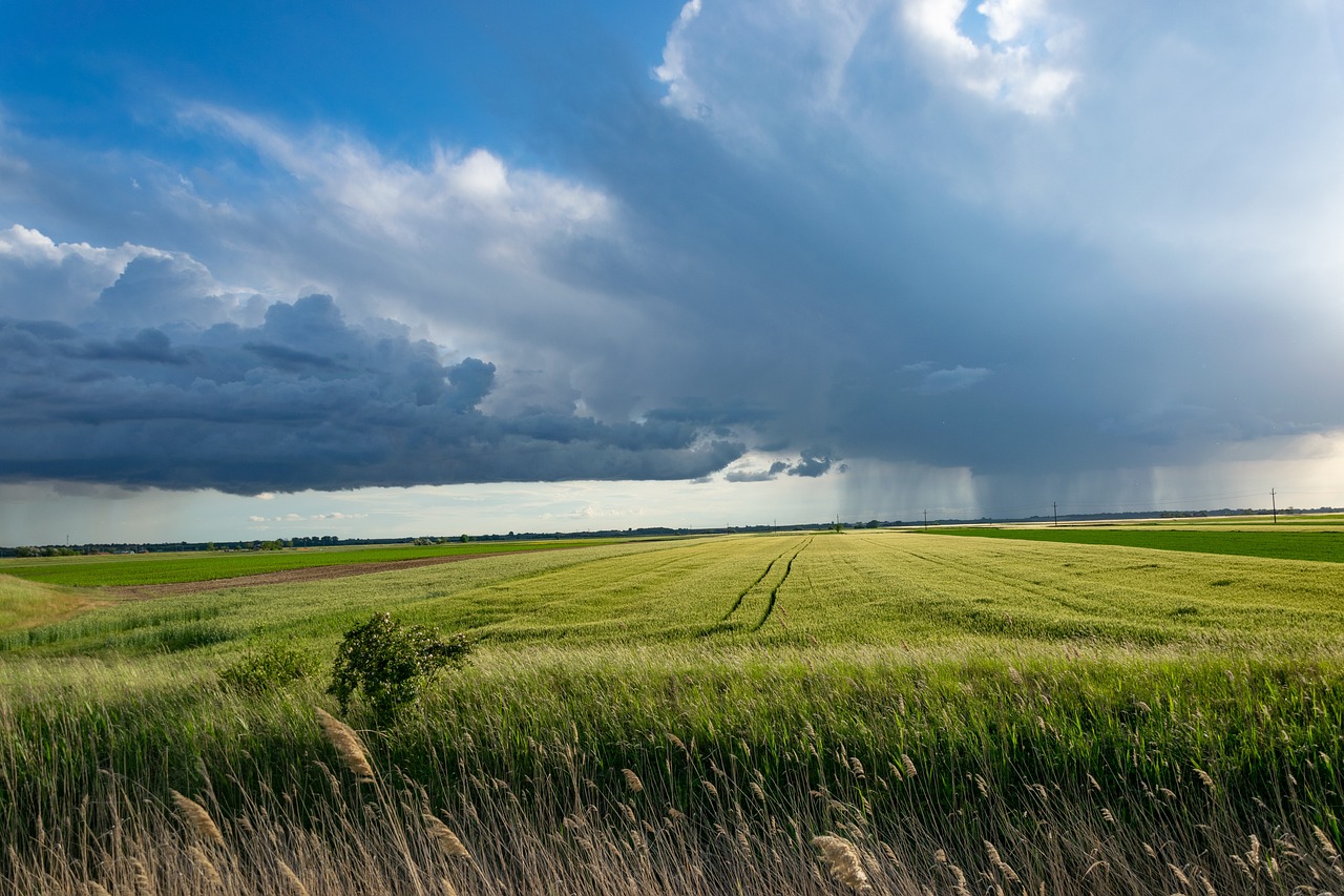 découvrez l'agriculture durable, une approche innovante qui préserve l'environnement tout en garantissant des récoltes abondantes. apprenez comment des pratiques responsables peuvent améliorer la qualité des sols, réduire l'utilisation des ressources et promouvoir la biodiversité. engageons-nous ensemble vers un avenir agricole plus respectueux de la planète.