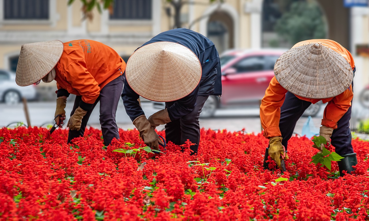 découvrez l'art du jardinage urbain et transformez votre espace en un oasis de verdure. apprenez des techniques pratiques pour cultiver des plantes, fruits et légumes même dans les petits espaces. idéal pour les citadins souhaitant se rapprocher de la nature tout en embellissant leur environnement.