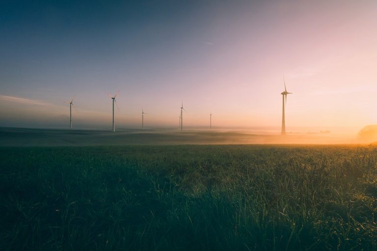 Energies : Le Rôle Clé de l’Agence pour la Transition Écologique