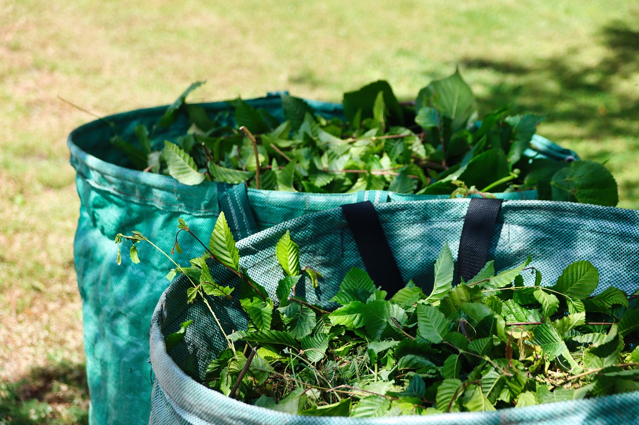 découvrez l'art du compostage, une méthode naturelle et écologique pour transformer vos déchets organiques en un précieux amendement pour votre jardin. apprenez les techniques, les astuces et les bienfaits du compostage pour contribuer à la protection de l'environnement tout en nourrissant vos plantes.