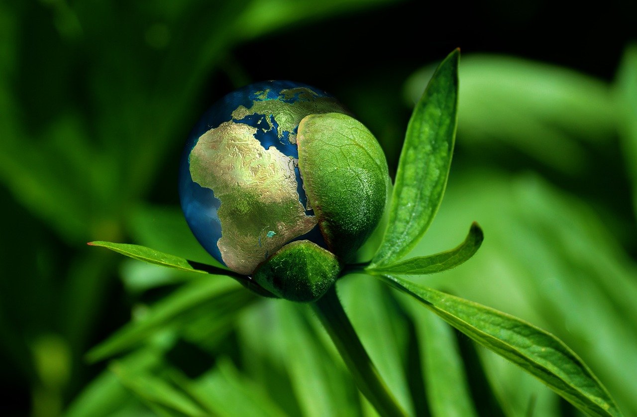 découvrez comment la durabilité transforme notre société grâce à des pratiques écologiques, des innovations responsables et une sensibilisation accrue aux enjeux environnementaux. engagez-vous pour un avenir durable et respectueux de notre planète.