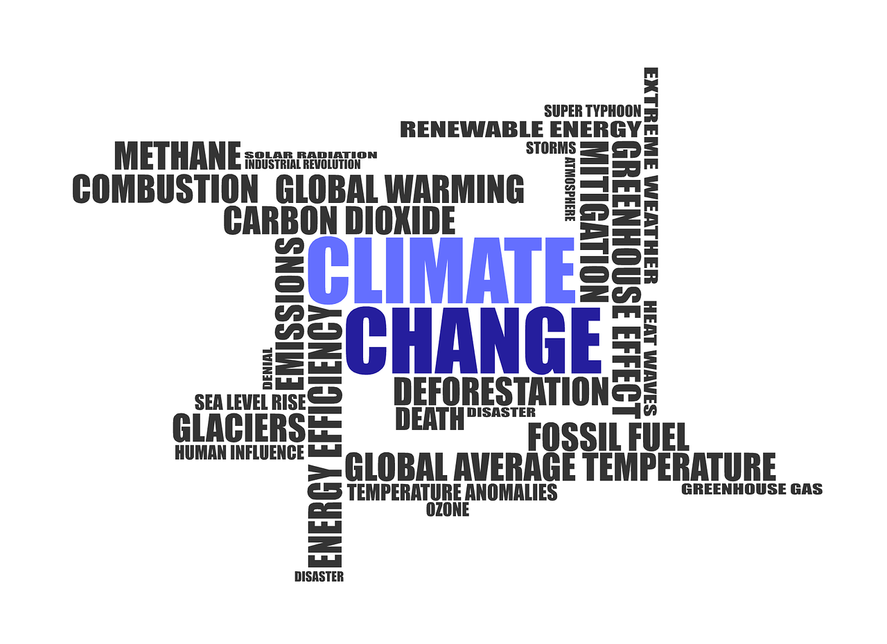 Changement climatique : Le Haut Conseil pour le climat met en garde, la France face à un manque de préparation