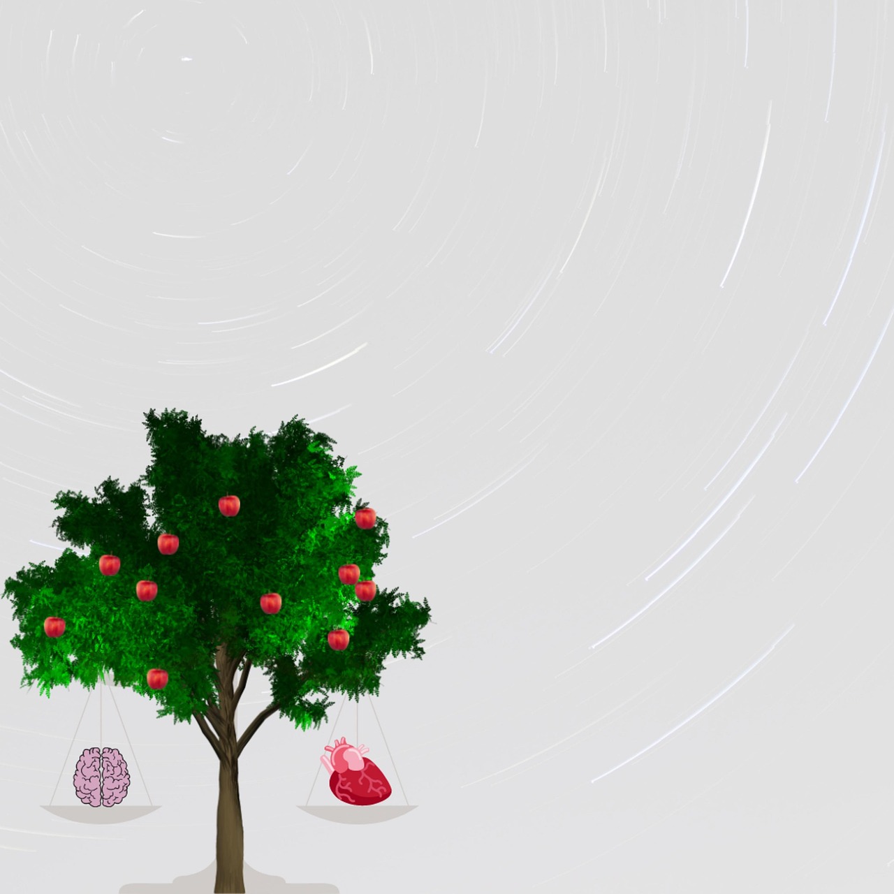 découvrez l'importance de l'équité entre les genres, ses enjeux, et comment promouvoir l'égalité dans tous les domaines de la vie. informez-vous sur les initiatives et les actions à mettre en place pour garantir des droits égaux et une représentation équilibrée dans la société.