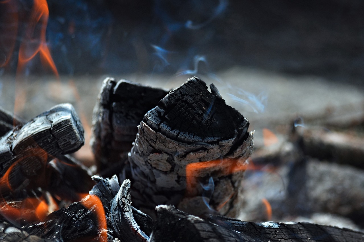 découvrez les enjeux de la neutralité carbone : un impératif pour la planète, impliquant des stratégies innovantes pour réduire les émissions de co2 et promouvoir des pratiques durables. engagez-vous vers un avenir plus vert dès aujourd'hui.