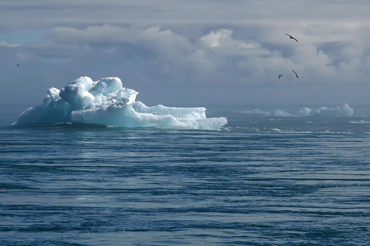 découvrez l'impact du changement climatique sur notre planète, les enjeux environnementaux associés et les solutions durables à mettre en œuvre pour préserver la biodiversité et garantir un avenir sain. agissons ensemble pour un changement positif.