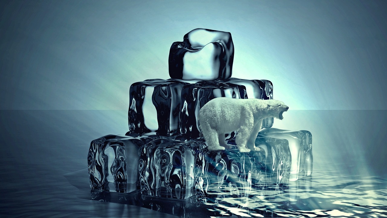 découvrez les enjeux du changement climatique, ses impacts sur notre planète et les actions à entreprendre pour préserver l'environnement et assurer un avenir durable.