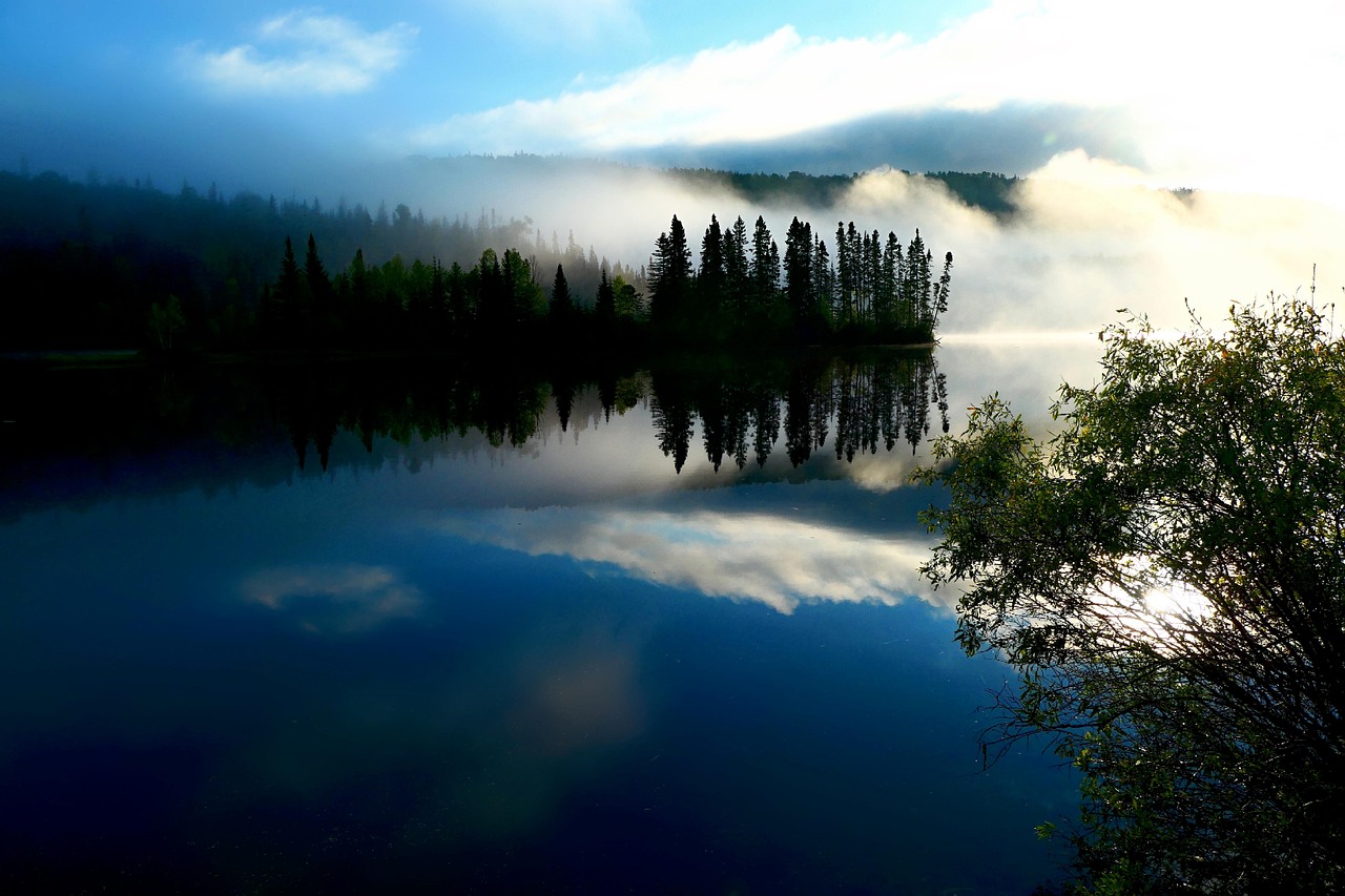 découvrez les écosystèmes : des systèmes complexes où interagissent les êtres vivants et leur environnement. explorez la biodiversité, les relations écologiques et l'importance de préserver notre planète.