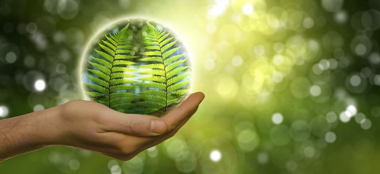 plongez dans l'univers de l'activisme environnemental, où des voix passionnées luttent pour la protection de notre planète. découvrez des initiatives, des campagnes et des actions concrètes visant à sensibiliser le public aux enjeux écologiques et à promouvoir un avenir durable.