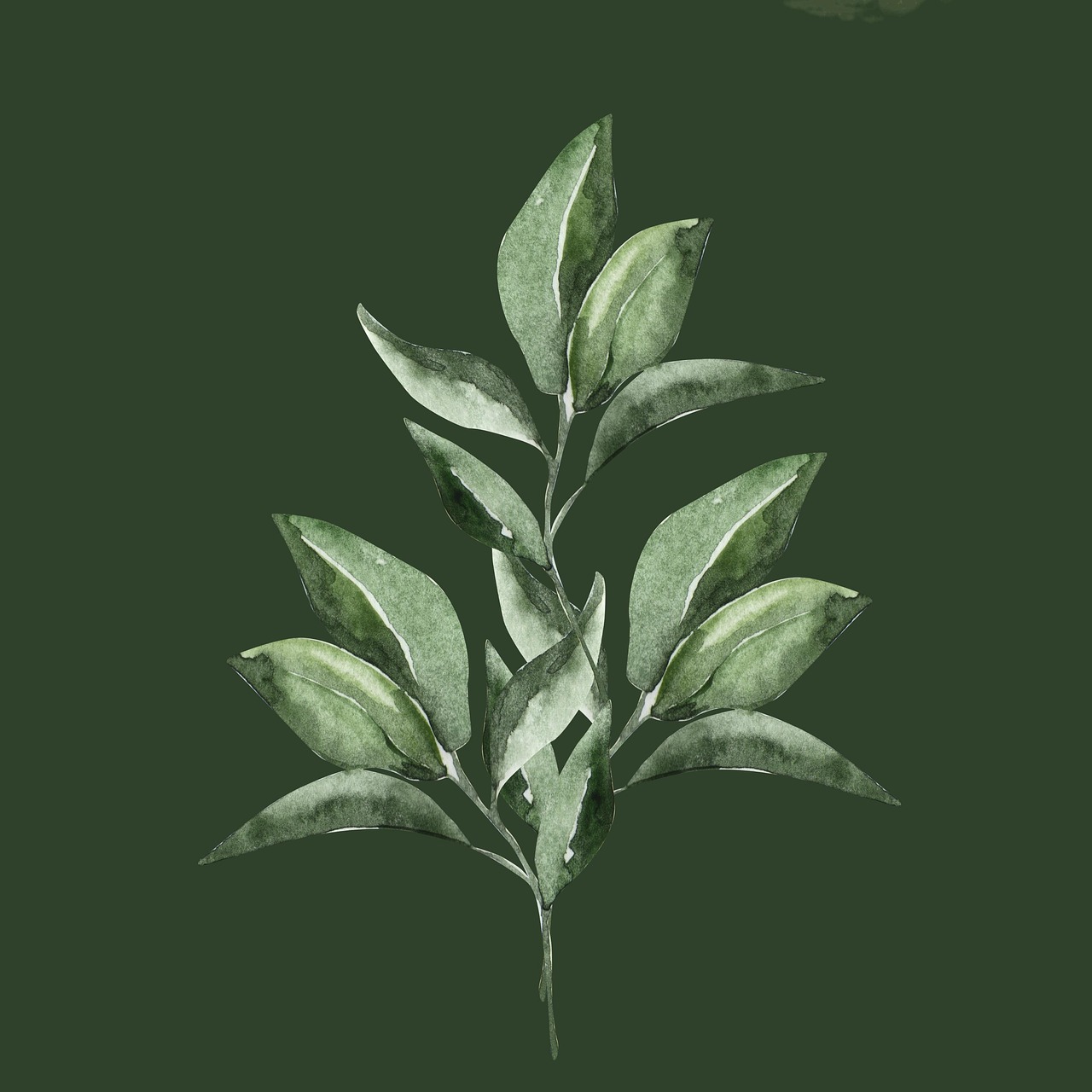 découvrez comment les initiatives écologiques transforment notre monde, en promoteurs de durabilité et en acteurs du changement pour un avenir plus vert.