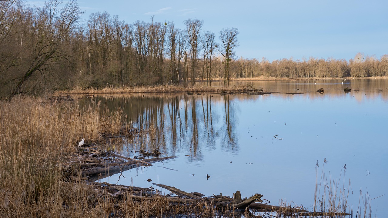 découvrez l'importance des zones protégées pour la conservation de la biodiversité et la protection des écosystèmes. explorez comment ces espaces uniques préservent la faune et la flore, tout en offrant des opportunités de loisir et d'éducation environnementale.