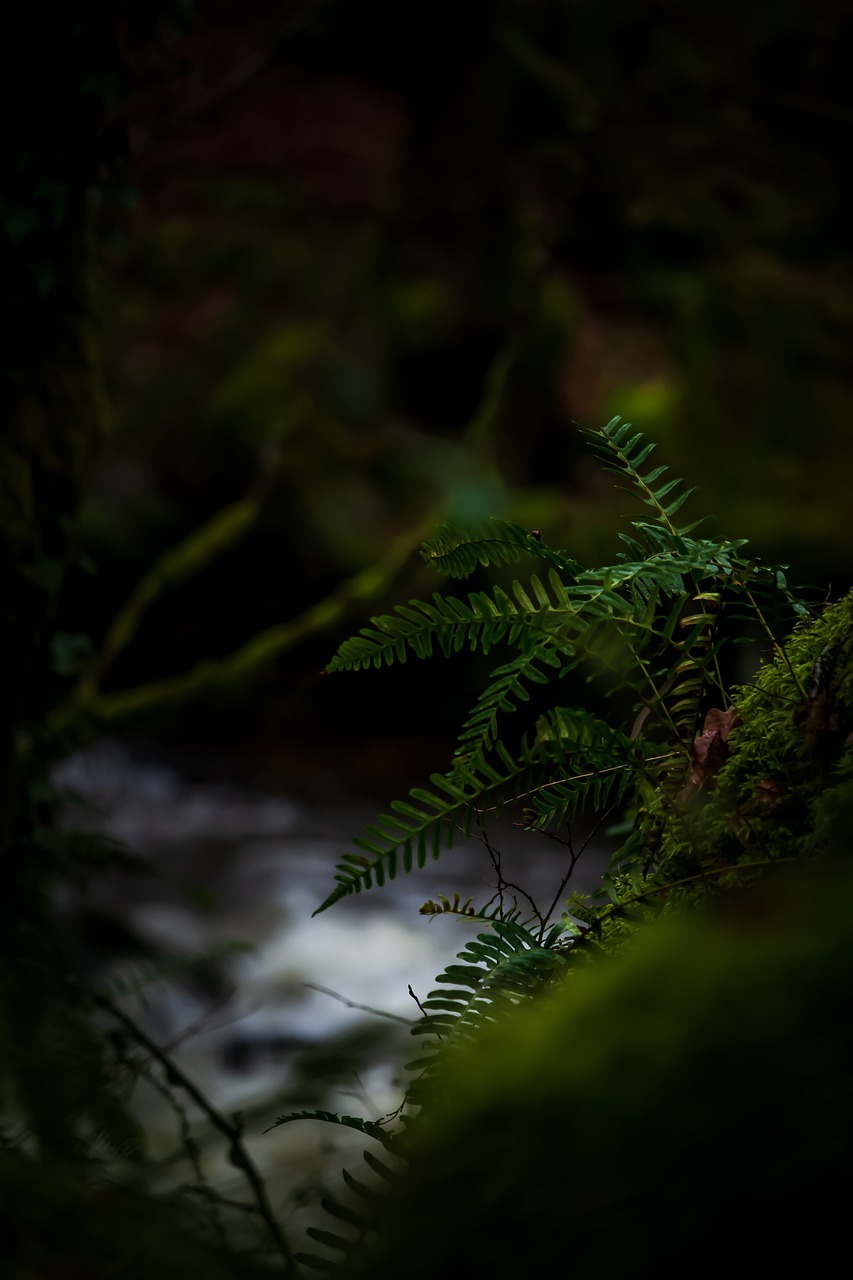 découvrez les principes du développement durable, une approche essentielle pour préserver notre planète. apprenez comment concilier croissance économique, justice sociale et protection de l'environnement à travers des pratiques innovantes et responsables.