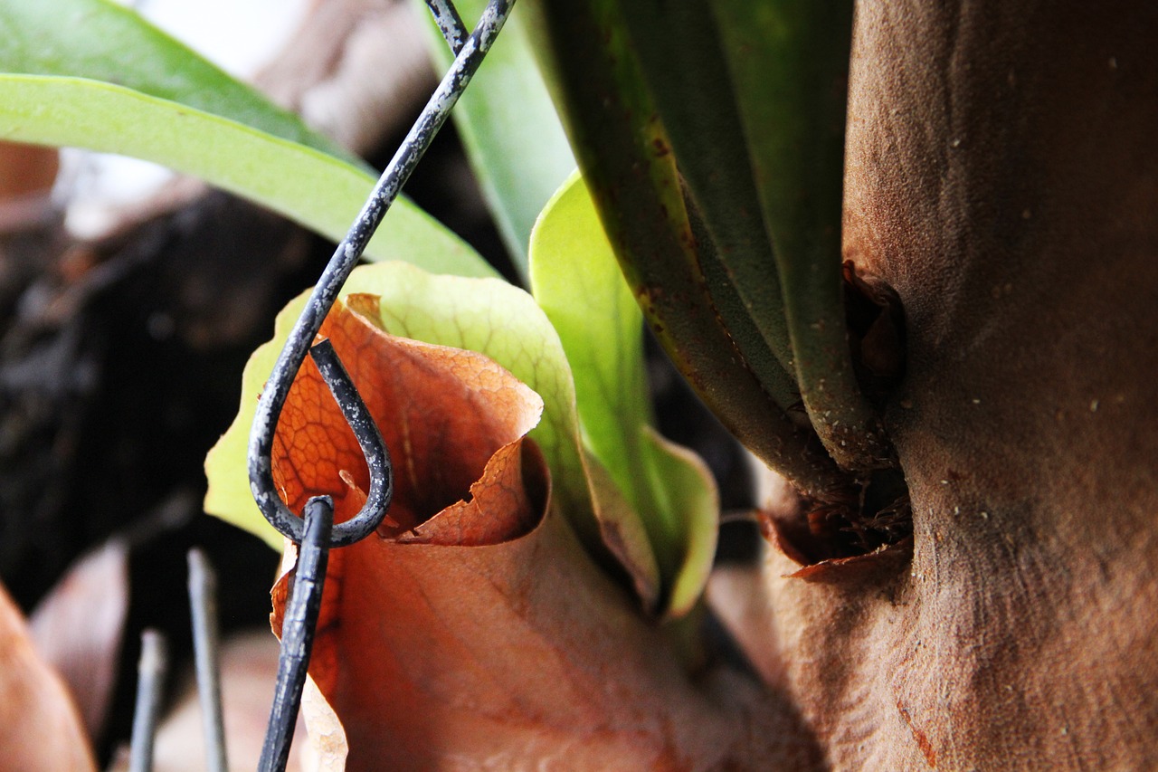 découvrez l'engagement des environmentalistes pour la protection de notre planète. apprenez comment leurs actions et leurs initiatives contribuent à la sauvegarde de l'environnement et à la promotion d'un développement durable.