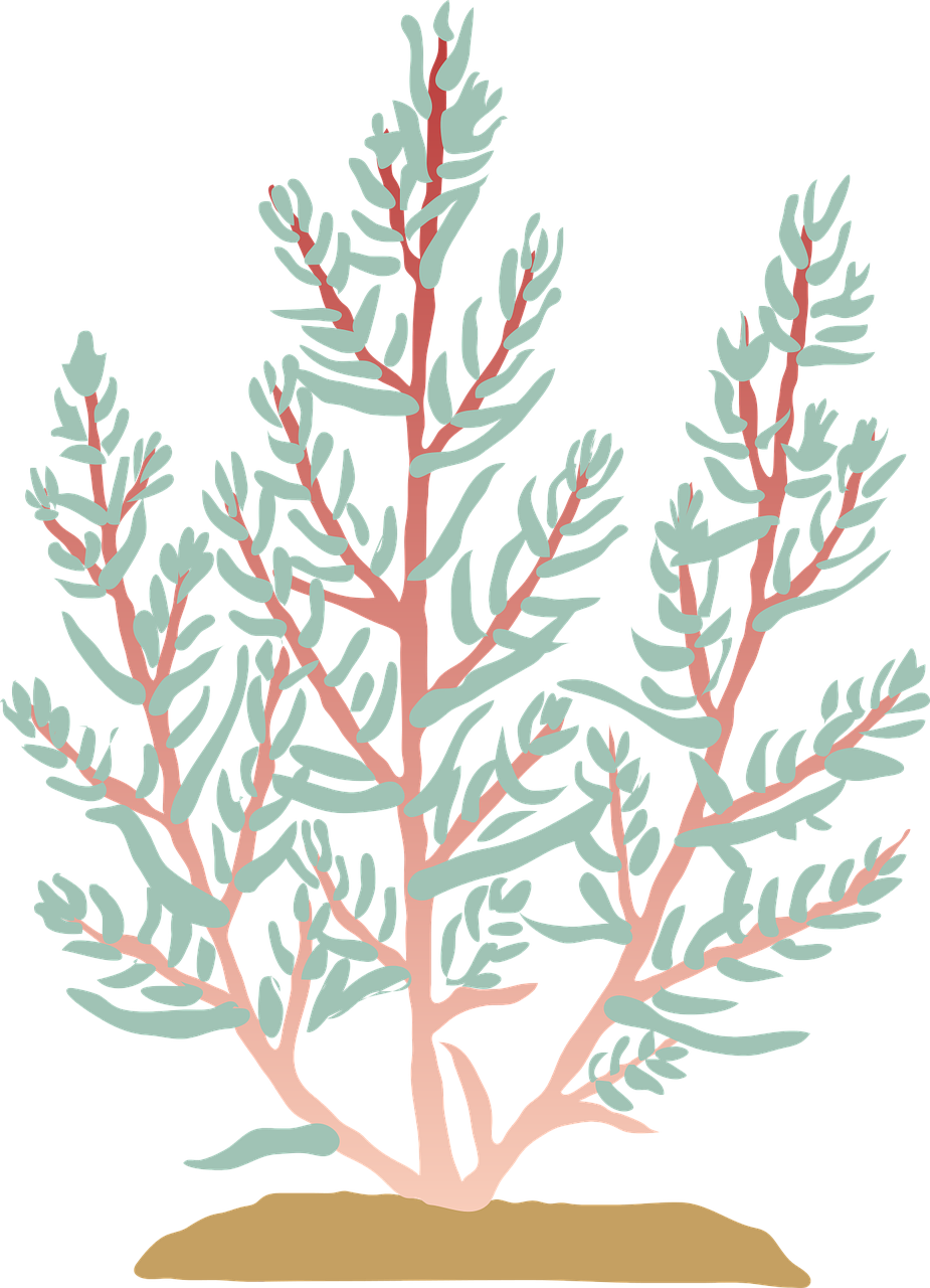 découvrez le phénomène de la salinisation, ses causes, ses impacts sur l'environnement et l'agriculture, ainsi que les solutions pour le prévenir. informez-vous sur ce défi majeur pour la durabilité des ressources en eau.