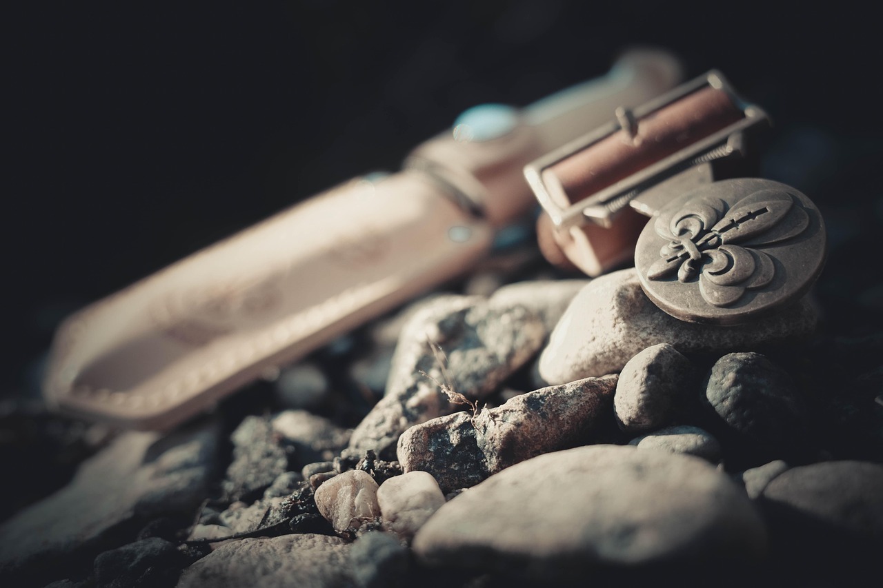 découvrez l'univers des scouts : une aventure enrichissante qui forge l'esprit d'équipe et l'autonomie chez les jeunes. rejoignez-nous pour des activités en plein air, des camps inoubliables et des valeurs de solidarité.