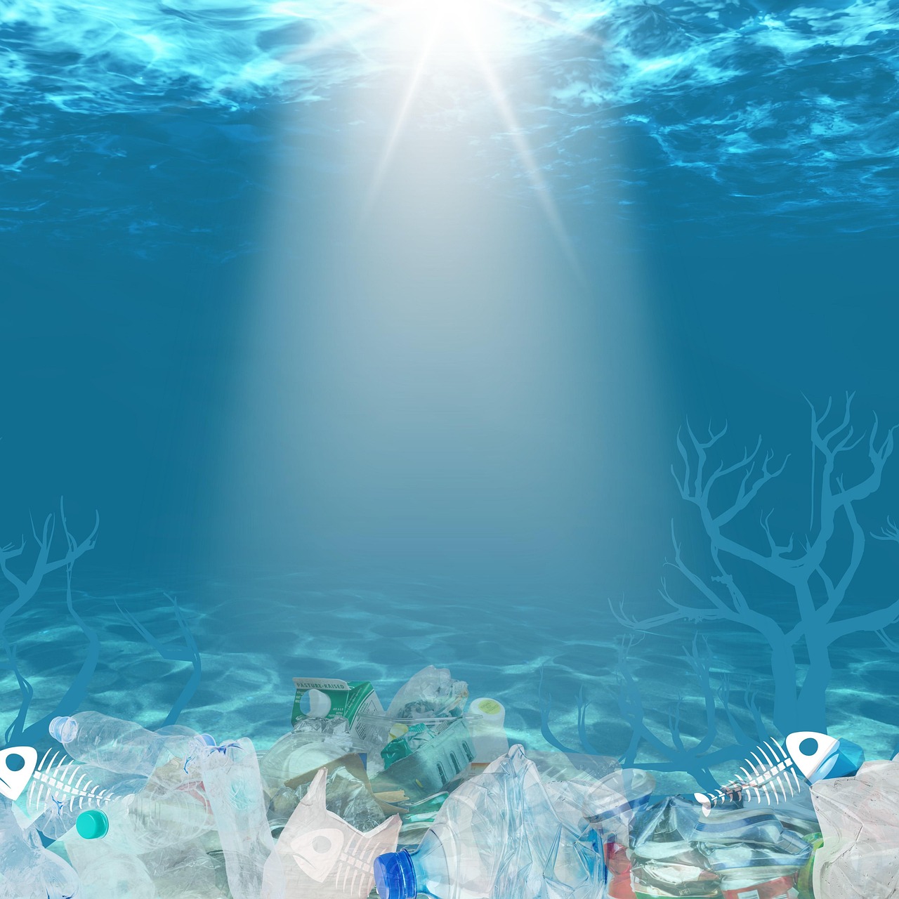 découvrez l'importance de la conservation marine pour protéger nos océans et leur biodiversité. apprenez comment des actions individuelles et collectives peuvent contribuer à préserver les écosystèmes marins essentiels pour la planète.