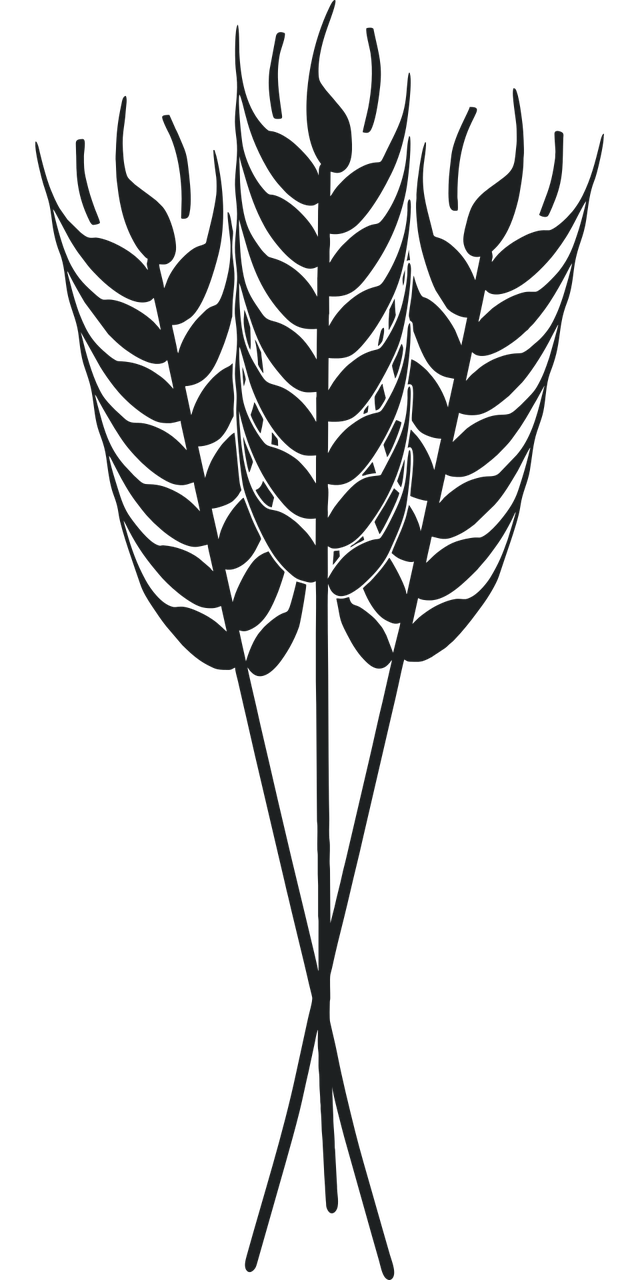 découvrez les pratiques d'agriculture durable qui préservent notre environnement tout en assurant des récoltes abundantes. apprenez comment des techniques innovantes et respectueuses de l'écosystème contribuent à un avenir plus vert.