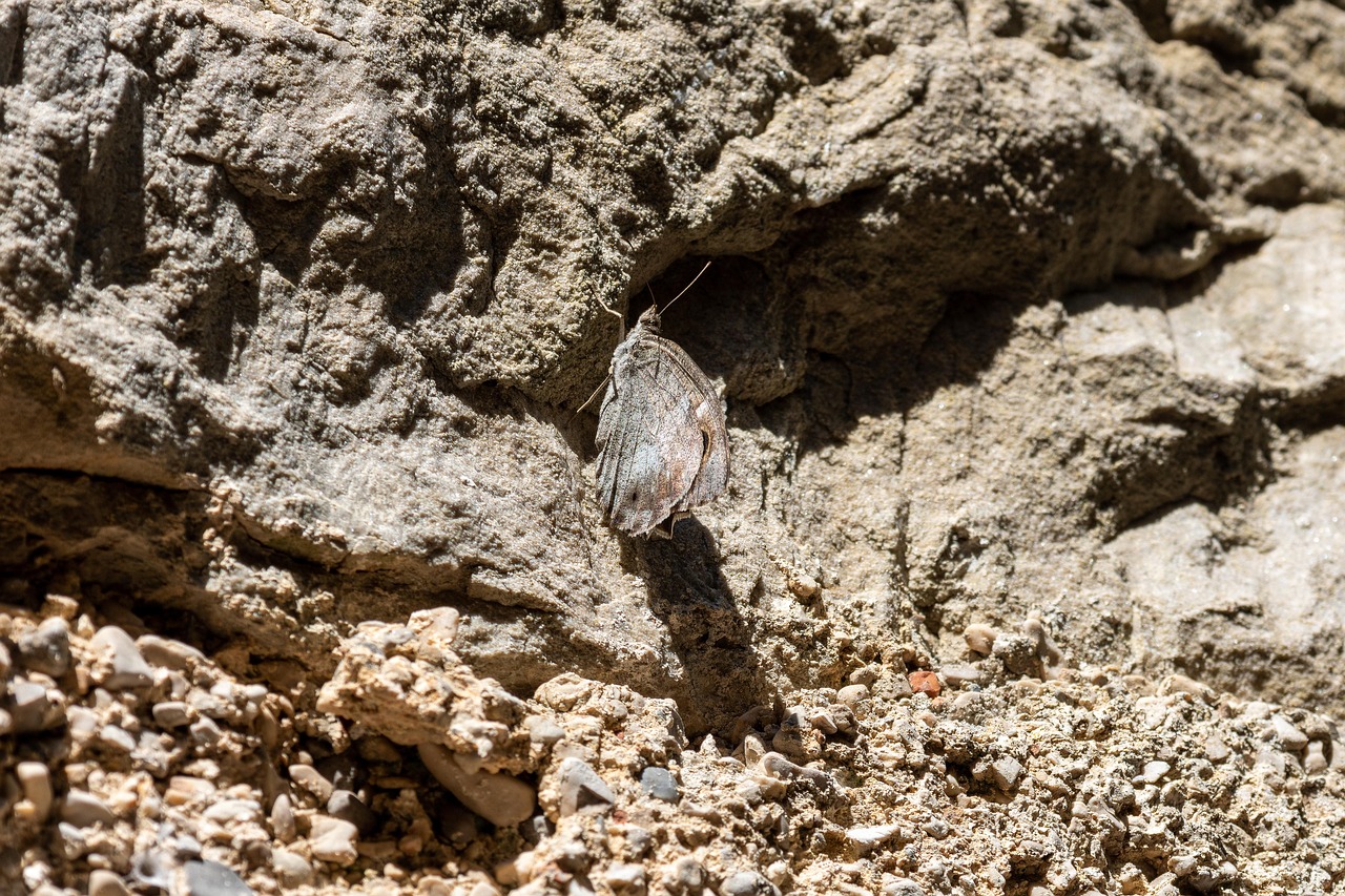 découvrez le concept d'adaptation systémique, une approche innovante qui explore comment les systèmes complexes, tels que les écosystèmes et les organisations, évoluent et s'ajustent face aux changements environnementaux et sociétaux. apprenez comment cette adaptation peut améliorer la résilience et la durabilité dans divers domaines.