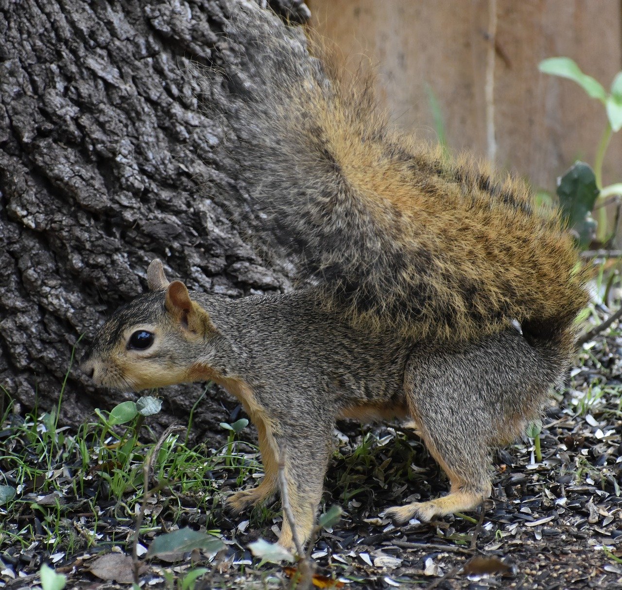 découvrez l'importance de l'adaptation dans notre monde en constante évolution. apprenez comment s'ajuster aux changements, que ce soit en entreprise, en environnement ou dans la vie personnelle, pour réussir et prospérer.