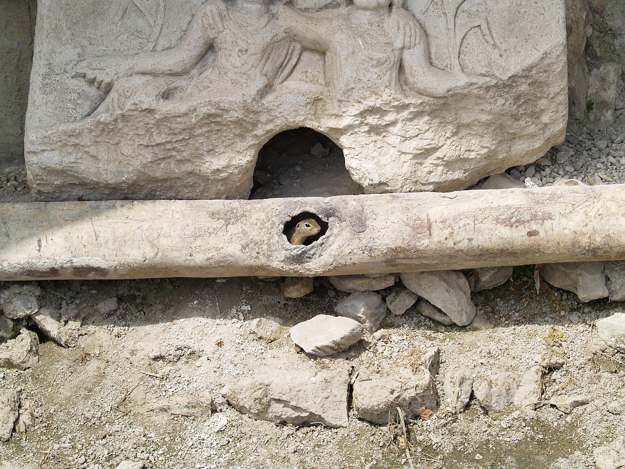 découvrez le processus d'adaptation, essentiel pour surmonter les défis et évoluer face aux changements. apprenez comment développer votre résilience et vous adapter aux nouvelles situations, que ce soit dans votre vie personnelle ou professionnelle.