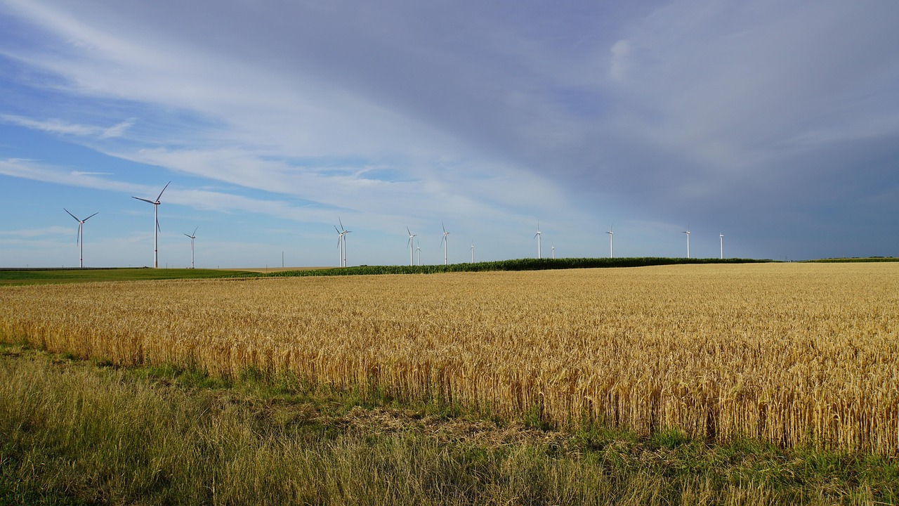 découvrez comment les vagues de chaleur affectent notre planète, la santé humaine et l'environnement. apprenez des conseils pratiques pour se protéger et s'adapter à ces phénomènes climatiques extrêmes.