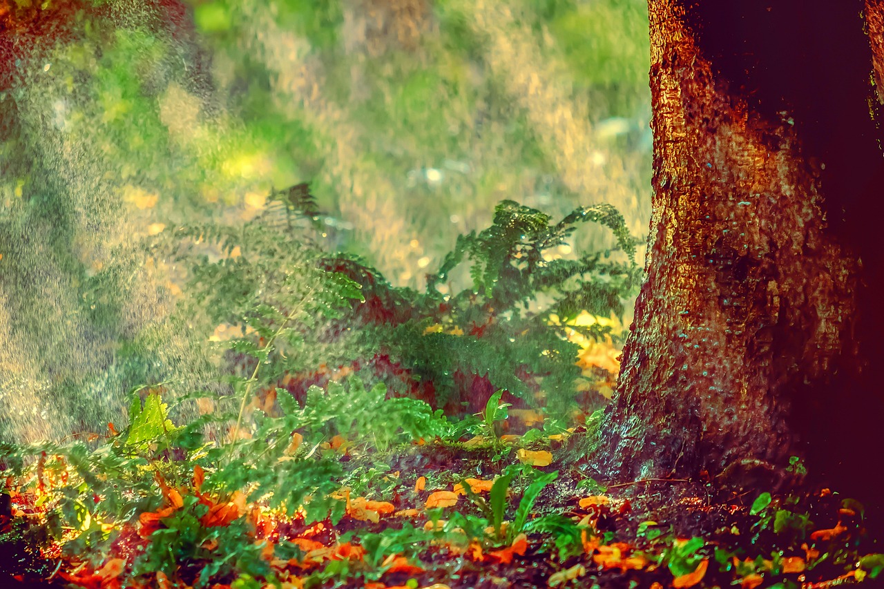 découvrez ce que sont les heatwaves, leurs causes, leurs effets sur l’environnement et la santé, ainsi que des conseils pour s’y préparer et s’en protéger efficacement.