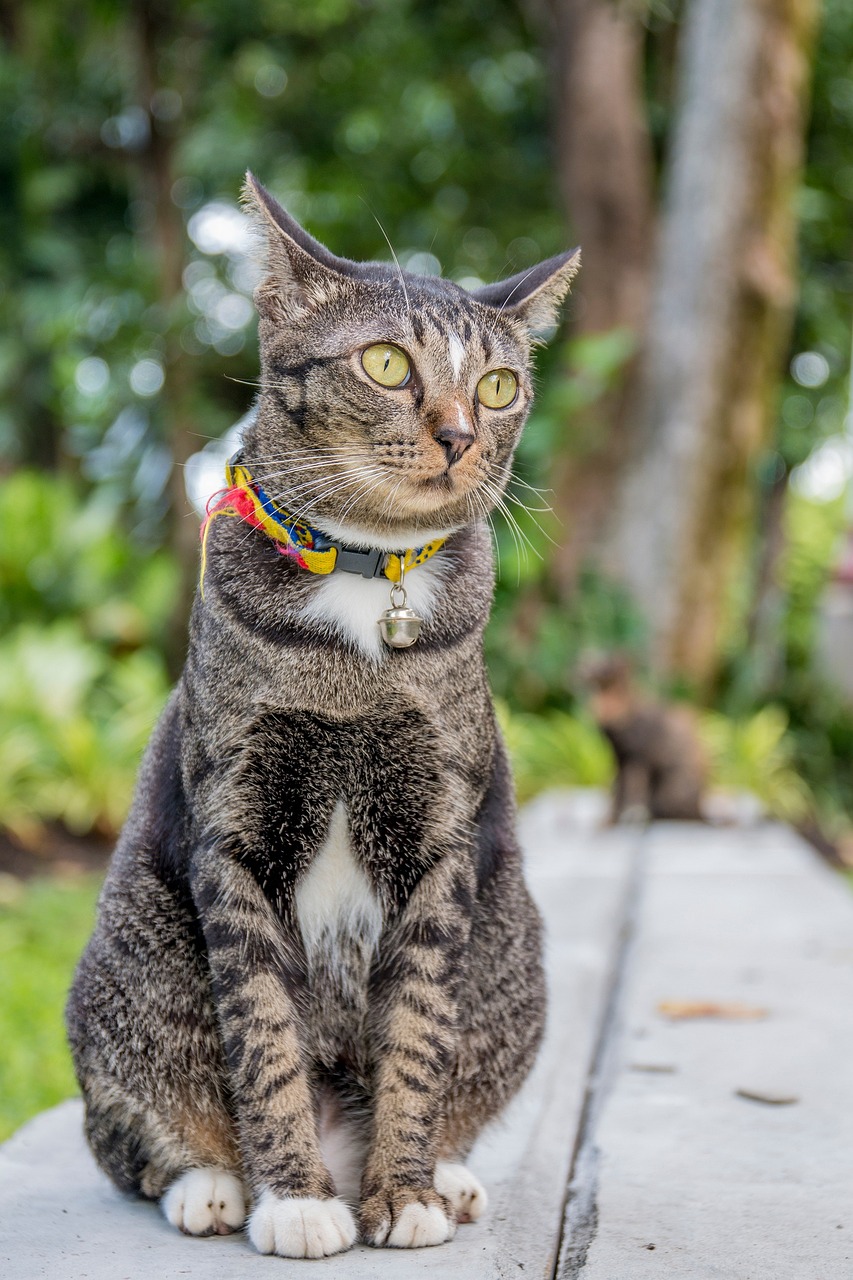 découvrez l'univers fascinant d'elon musk : entrepreneur visionnaire, fondateur de spacex, tesla, neuralink et bien plus encore. son parcours, ses innovations et son impact sur la technologie et l'avenir de l'humanité.