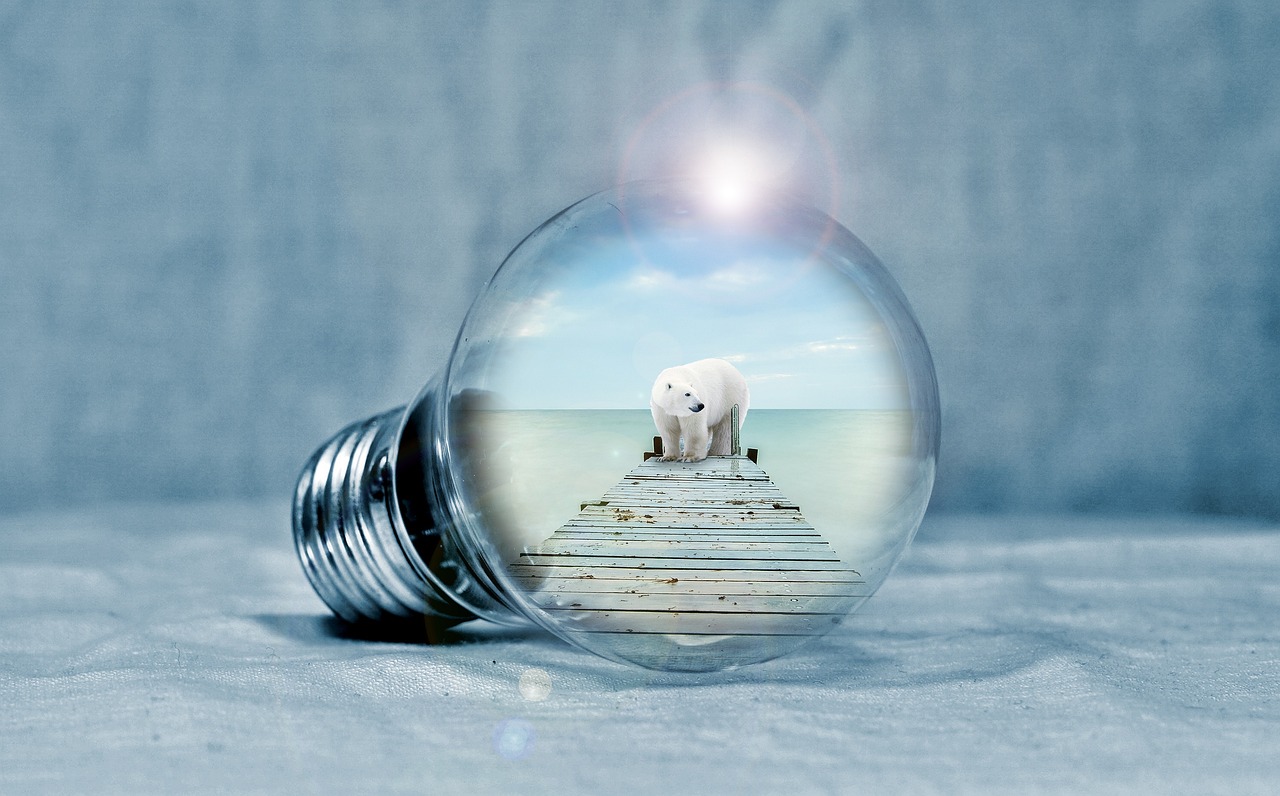 découvrez comment la transition énergétique transforme nos modes de production et de consommation d’énergie pour un avenir plus durable. analyse des enjeux, solutions innovantes et perspectives pour accompagner ce changement essentiel.