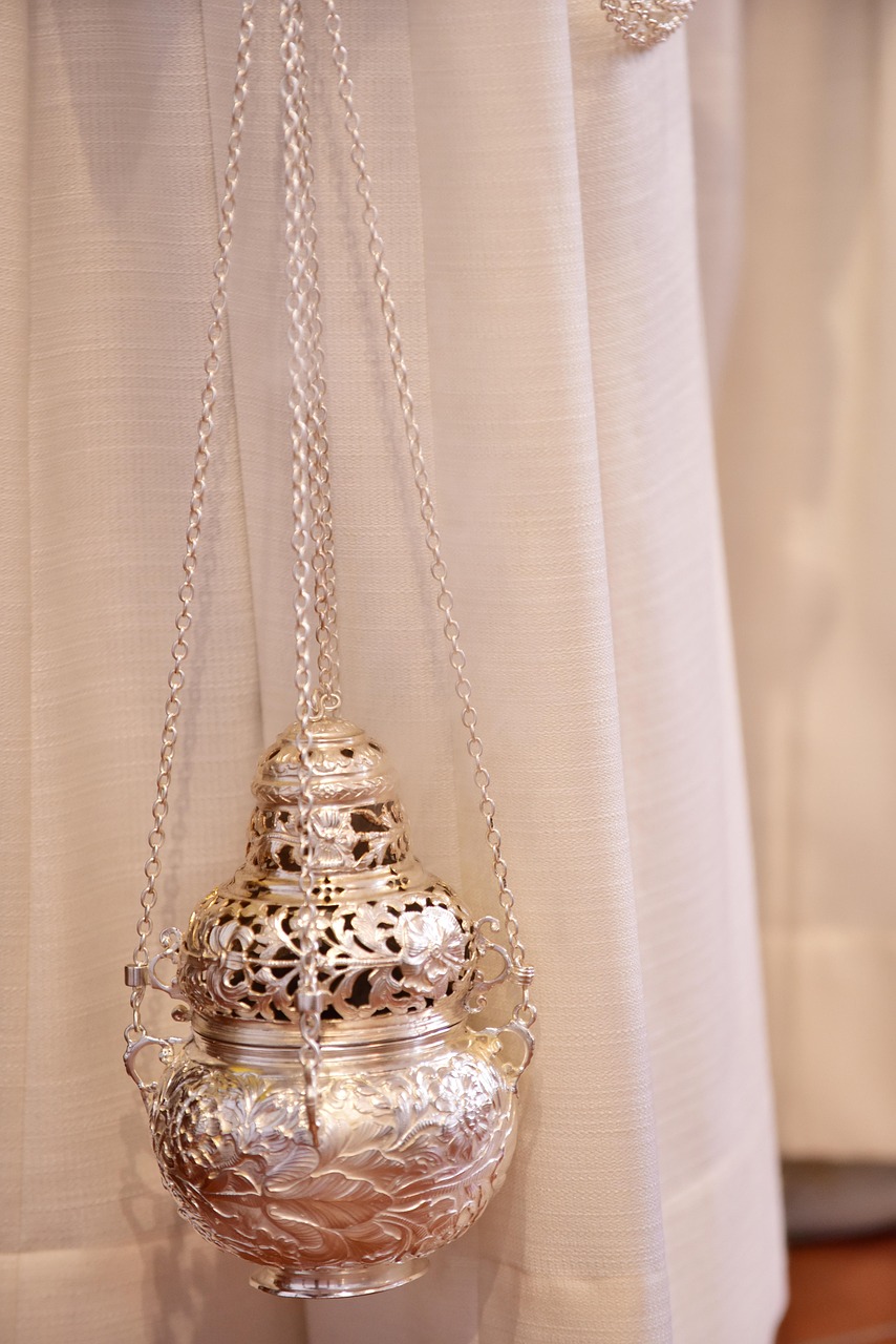 Le cycle du carbone dans les forêts : Analyser le passé pour mieux anticiper les impacts du changement climatique