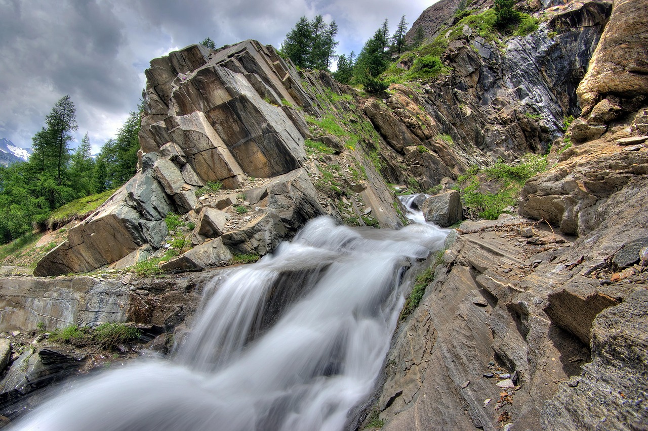 découvrez des conseils, actualités et solutions pour mieux comprendre et protéger l’environnement. informez-vous sur la biodiversité, le climat, la pollution, et les gestes écologiques au quotidien.