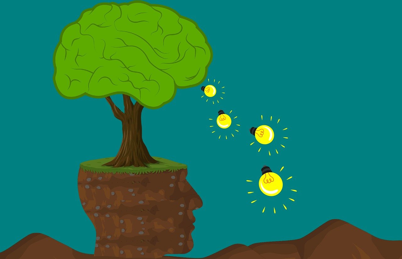 découvrez l'importance de l'éducation environnementale : comprendre les enjeux du développement durable, sensibiliser à la protection de la planète et adopter des gestes écologiques au quotidien.