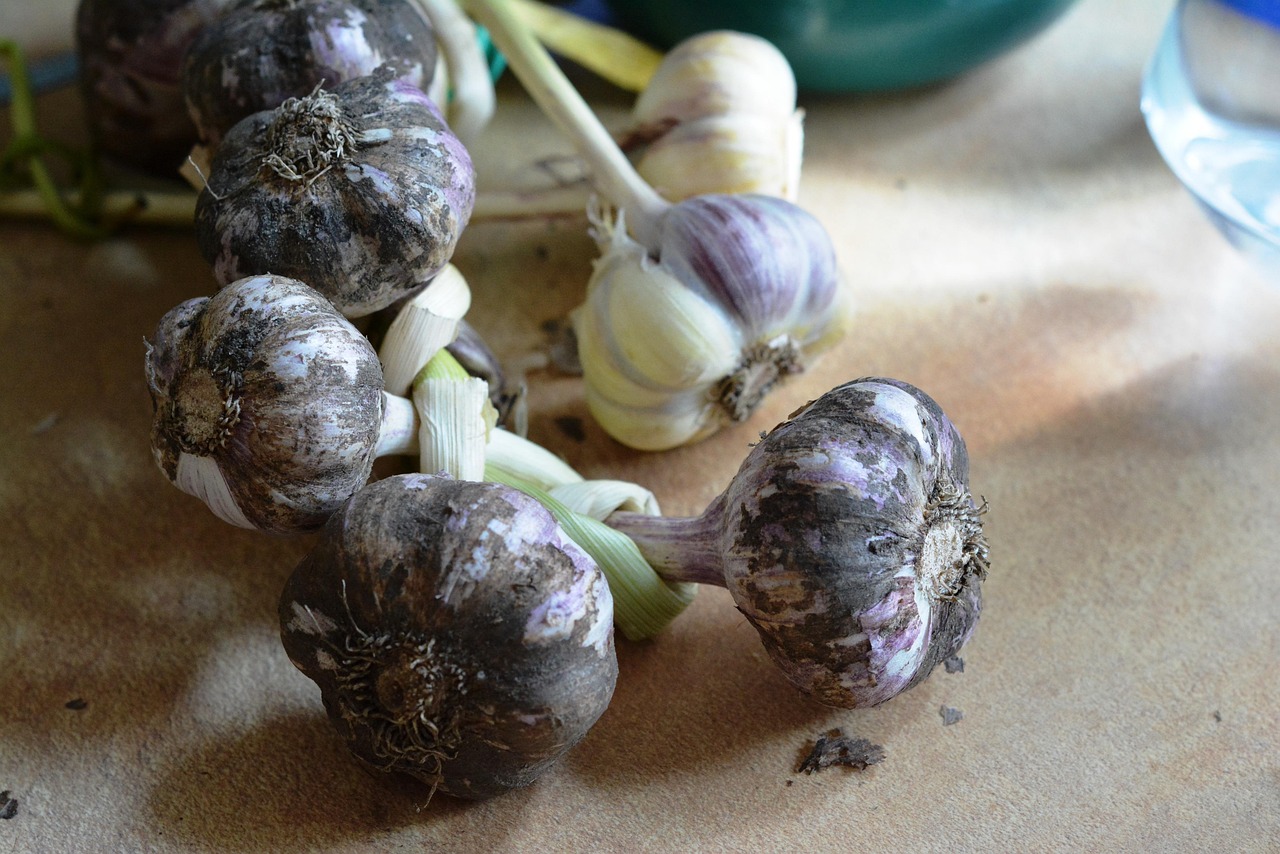 découvrez tout ce qu’il faut savoir sur les hydrocarbures : leur définition, leurs types, leurs utilisations industrielles, ainsi que leurs enjeux environnementaux et énergétiques.