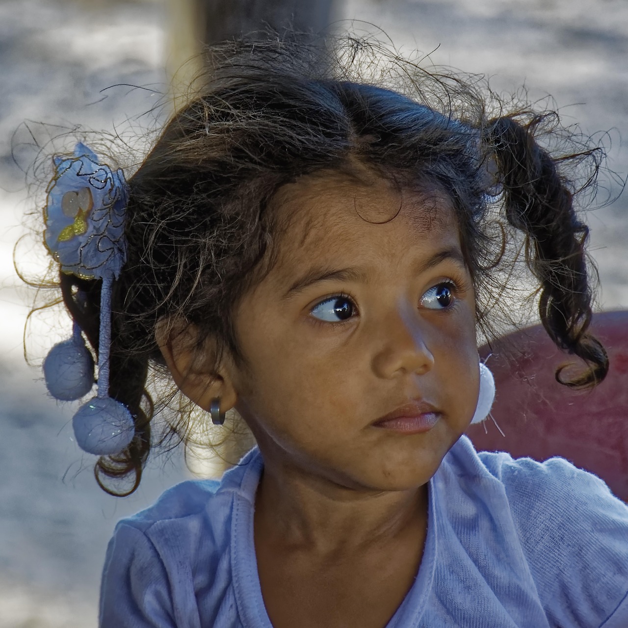découvrez l’histoire, la culture et les droits des peuples autochtones à travers le monde. explorez leur patrimoine unique, leurs traditions et les défis qu’ils rencontrent aujourd’hui.