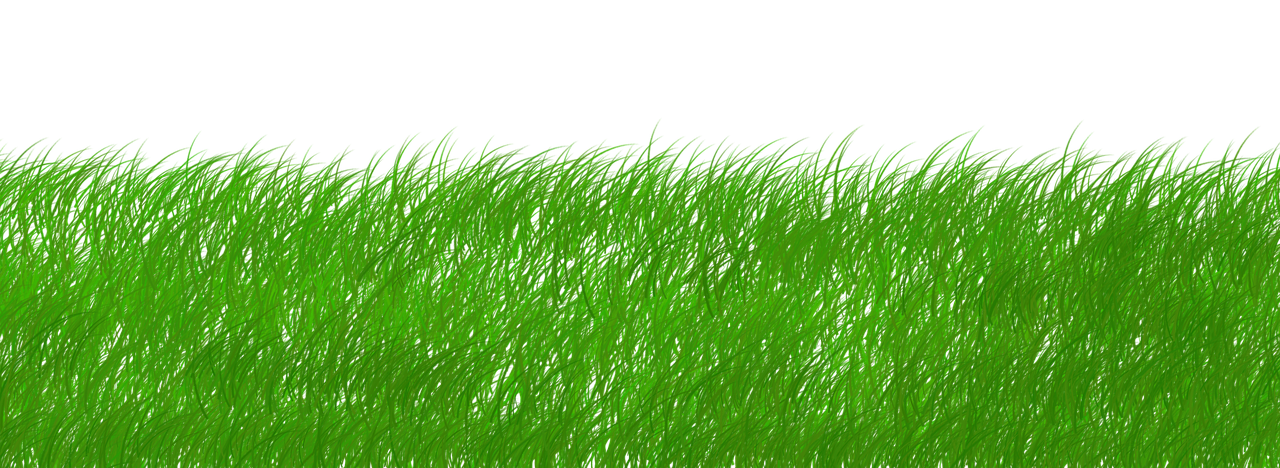 découvrez comment adopter des pratiques durables pour préserver l'environnement, améliorer la qualité de vie et favoriser une économie responsable. conseils, actualités et solutions pour une démarche éco-responsable au quotidien.