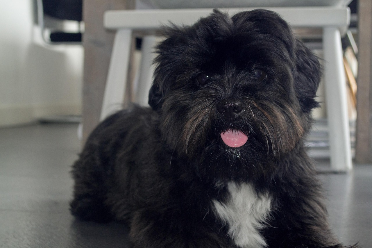 découvrez qui sont les boomers, leur influence sur la société, leur mode de vie, et comment cette génération façonne les tendances d'aujourd'hui et de demain.