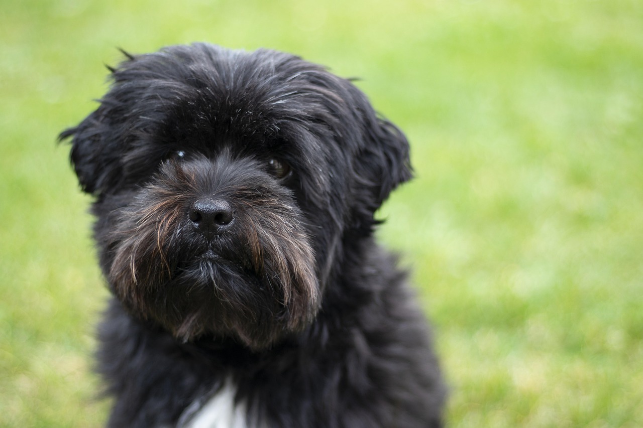 découvrez qui sont les boomers, leur histoire, leurs valeurs et leur impact sur la société moderne. explorez le rôle de cette génération dans les évolutions culturelles, économiques et technologiques.