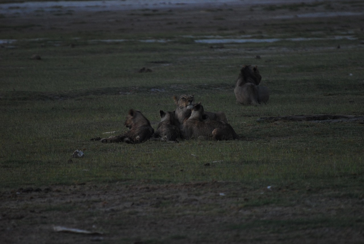 découvrez les meilleures stratégies et initiatives pour lutter contre le changement climatique. agissez pour préserver l’environnement avec des conseils et actions concrètes en faveur du climat.