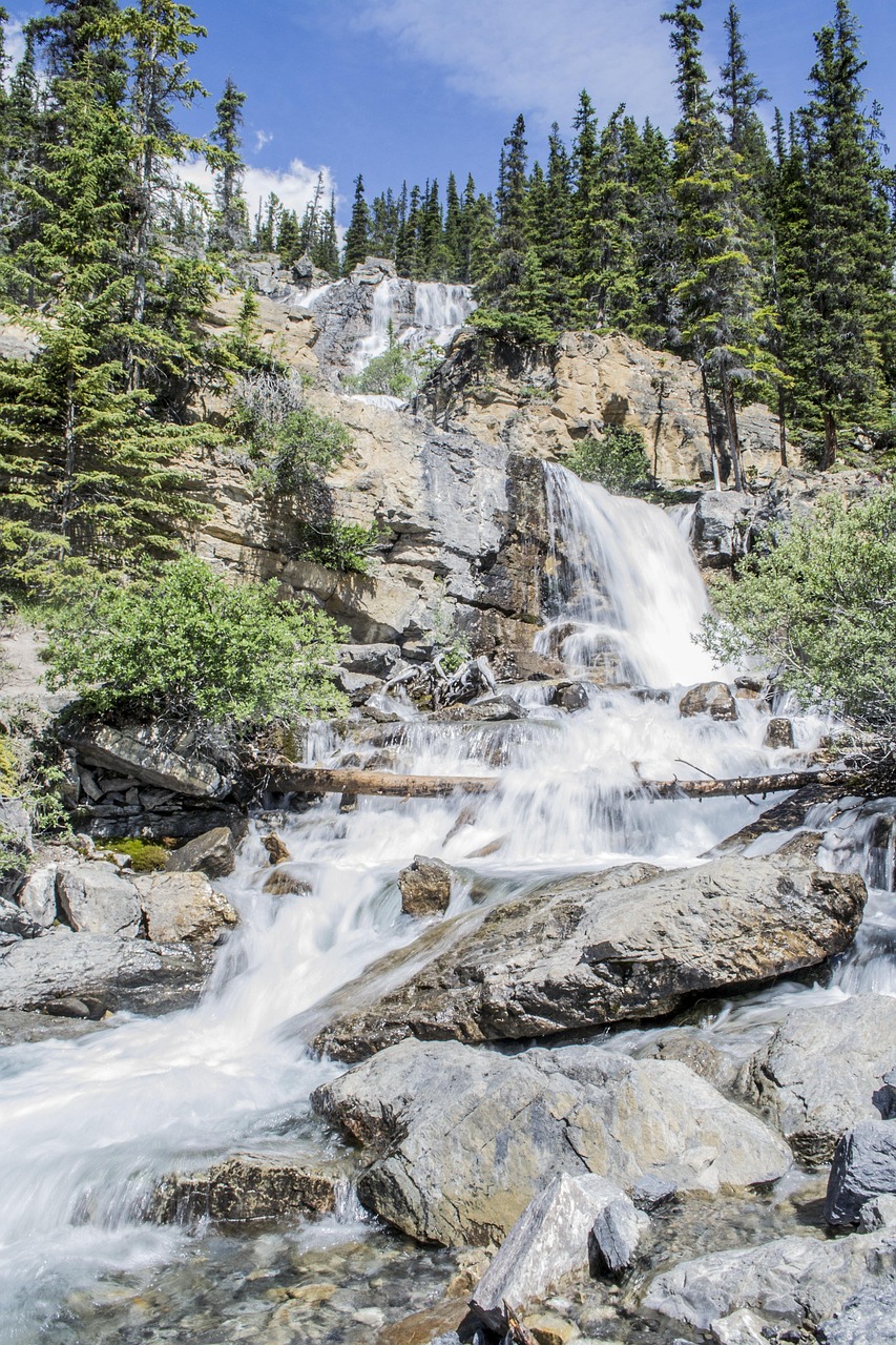 découvrez les principaux défis climatiques actuels, leurs impacts sur l’environnement et les solutions proposées pour lutter contre le changement climatique.