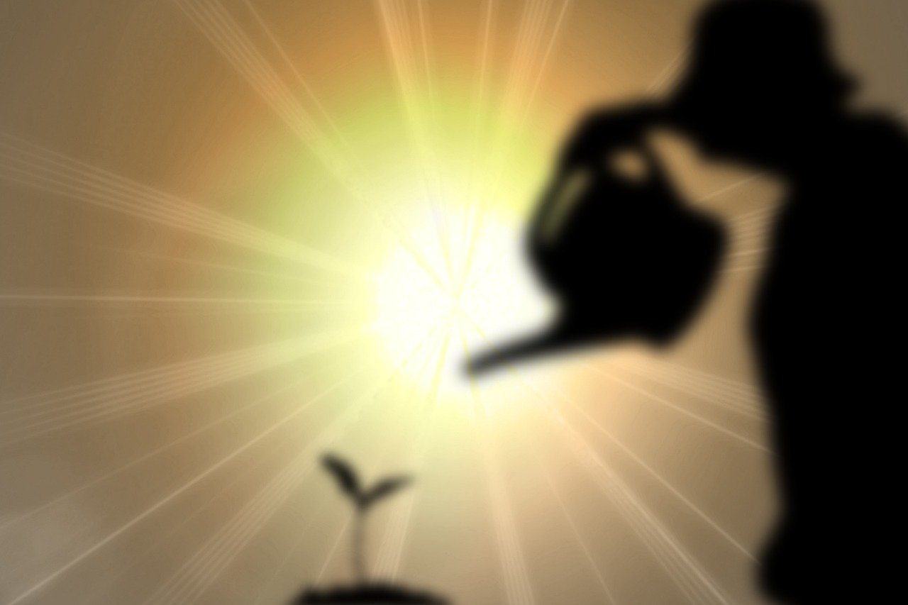 découvrez ce que sont les points de bascule climatiques, leurs impacts sur l’environnement et pourquoi ils représentent une menace cruciale pour notre planète. informez-vous sur les dernières recherches scientifiques et les solutions pour agir.