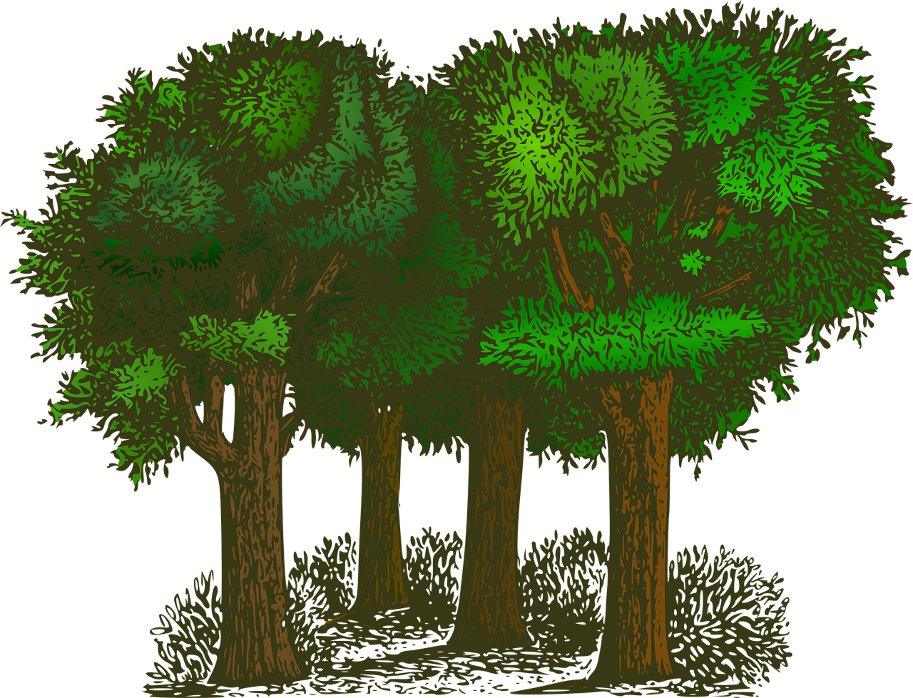 découvrez des informations essentielles sur l'environnement, ses enjeux actuels, les solutions écologiques et les actions individuelles pour protéger notre planète au quotidien.