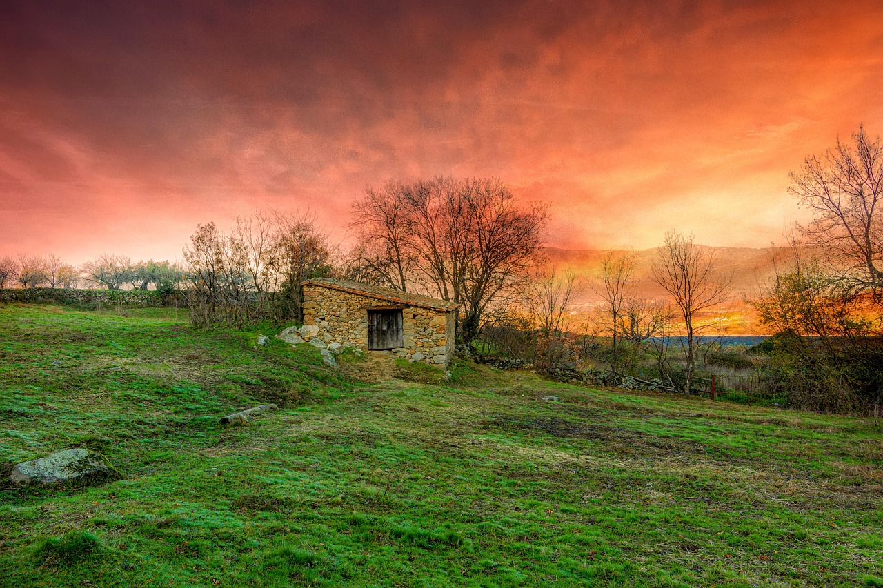 découvrez tout sur la foresterie : pratiques de gestion durable des forêts, enjeux environnementaux, biodiversité et innovations pour préserver notre patrimoine forestier.