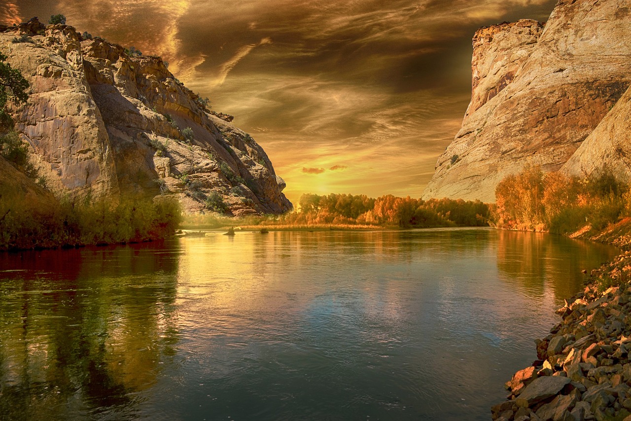 découvrez le domaine du forestry : gestion durable des forêts, conservation des ressources naturelles, reboisement, et pratiques écologiques pour préserver la biodiversité et lutter contre le changement climatique.