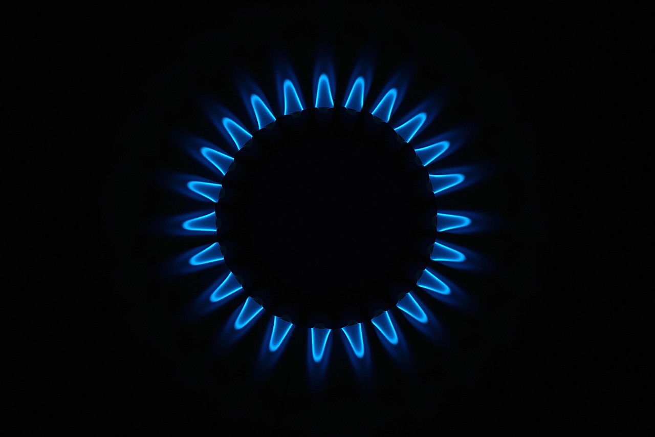 découvrez ce que sont les combustibles fossiles, leur rôle dans la production d'énergie, leurs impacts sur l'environnement et les alternatives possibles pour un avenir plus durable.